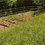 La Perla Nella Foresta *