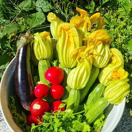 La Perla Nella Foresta