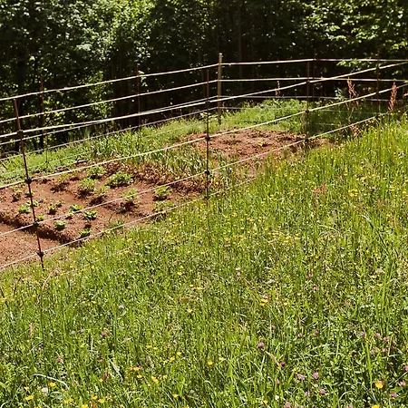 La Perla Nella Foresta *