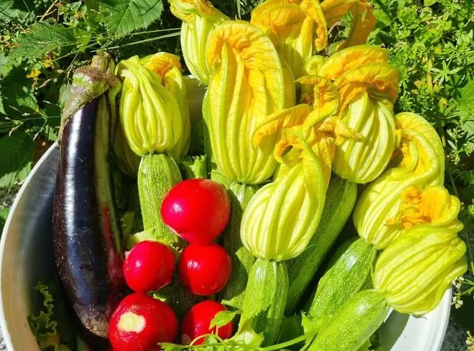 La Perla Nella Foresta