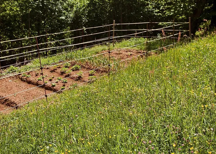 La Perla Nella Foresta *